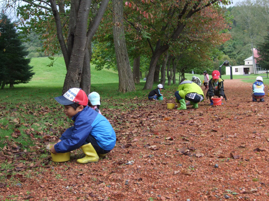 クリーン会、幼稚園