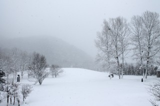 1月12日