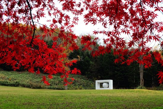 10月29日