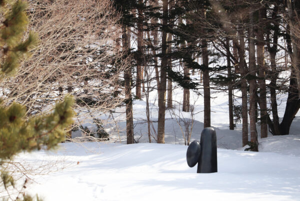 アルテの森でスノーシューウォーク